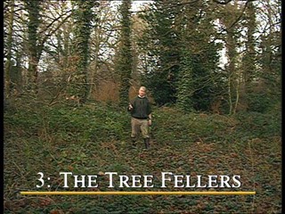 A Sense of Tradition: The Tree Fellers