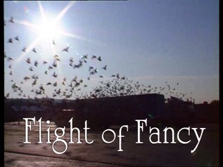 Animal Passions: Flight of Fancy 