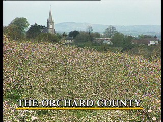 McGilloway's Way: The Orchard County