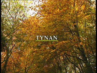 Lesser Spotted Ulster: Tynan