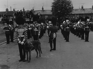 British Legion Parade in Newry 