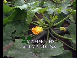 Kitchen Garden: Mammoths and Manikins