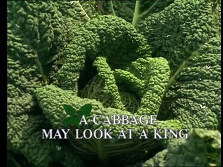 Kitchen Garden: A Cabbage May Look at a King