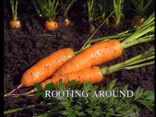 Kitchen Garden: Rooting Around