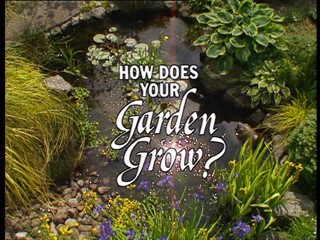 How Does Your Garden Grow?: Verney And David Naylor