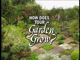 How Does Your Garden Grow?: Helen And Val Dillon