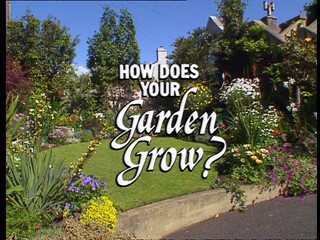 How Does Your Garden Grow?: Brian Wood