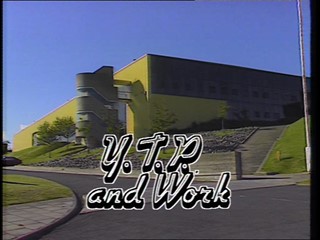 Life After School - Y.T.P. and Work