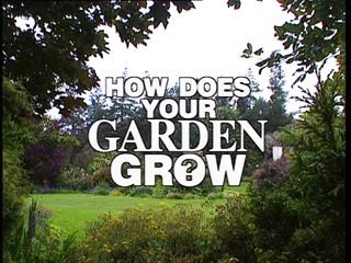 How Does Your Garden Grow?: Paddy Maitland