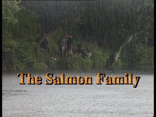 Fish Tales: The Salmon Family