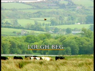 Lesser Spotted Ulster: Lough Beg