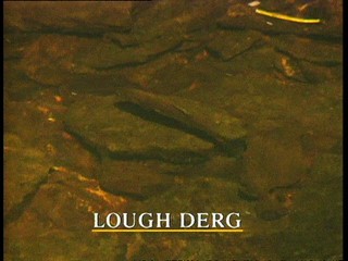 Lesser Spotted Ulster: Lough Derg
