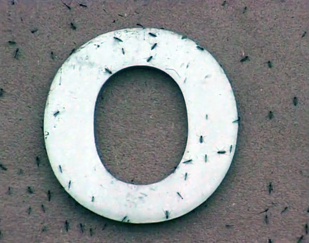 Midges of Lough Neagh