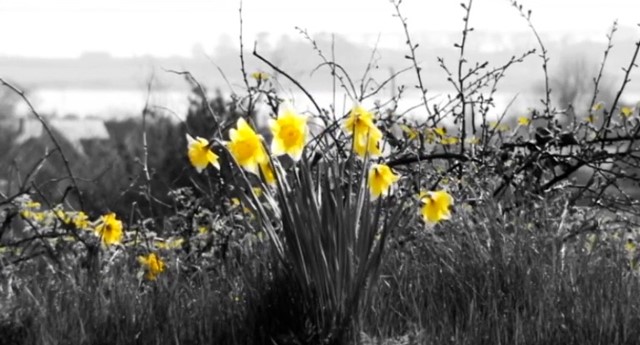 Twelve Months of Mourne – April