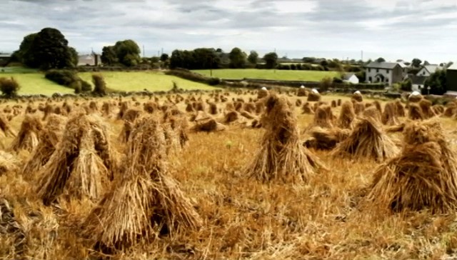 Twelve Months of Mourne – September