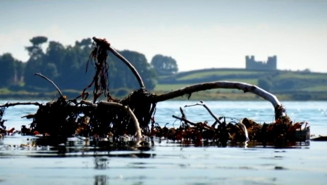 Twelve Months of Mourne – August