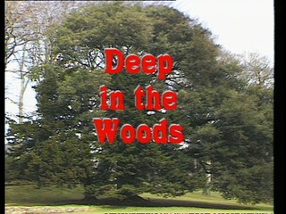 Swings and Roundabouts: Deep in the Woods