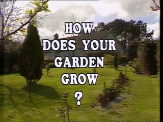 How Does Your Garden Grow?: Jack Murray