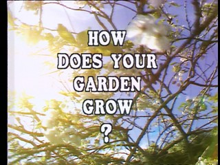 How Does Your Garden Grow?: Bob And Jean McCammond 