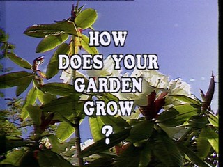 How Does Your Garden Grow?: Maisie Michael