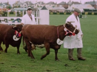 The Balmoral Show in the 1960s