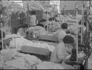 Workers in Shirt Factory
