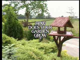 How Does Your Garden Grow?: Bob Devereux