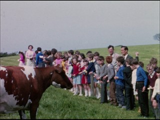 Children Meet Some Cows