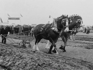 International Ploughing in Toome 
