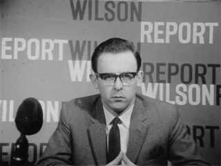 Analysis of the Wilson Report 