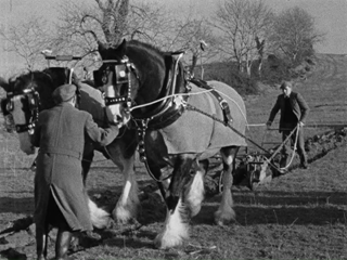 Ploughing Matches in Listooder 