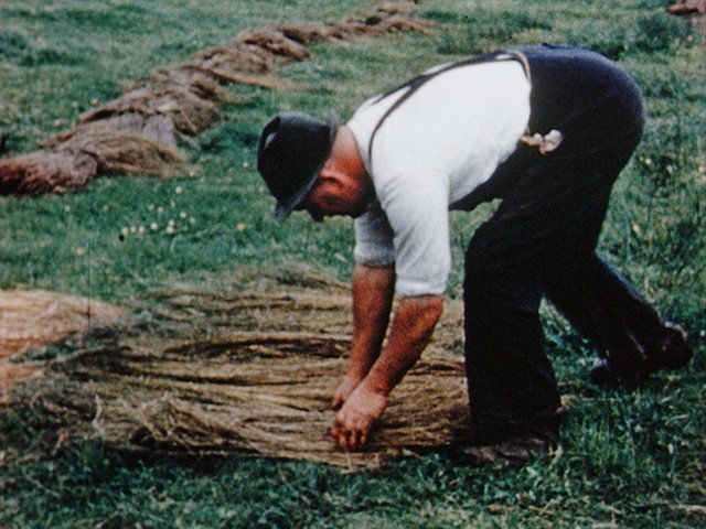 Northern Ireland Agriculture and Industry