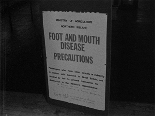 Foot & Mouth Precautions at Aldergrove 