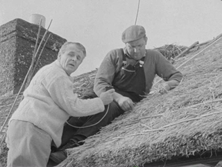 7 Degrees West - Thatching in Crawfordsburn