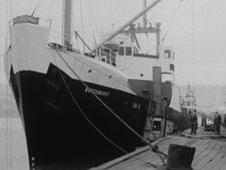 Brookmount Ship at Docks
