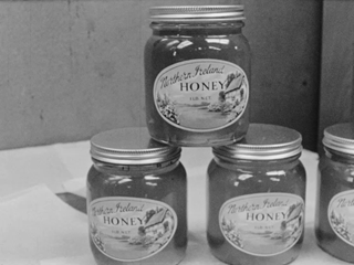 Northern Ireland Honey