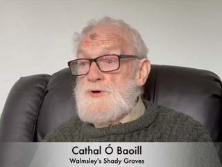 OTMA: Cathal Ó Baoill - Walmsley's Shady Groves